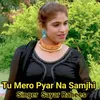 About Tu Mero Pyar Na Samjhi Song